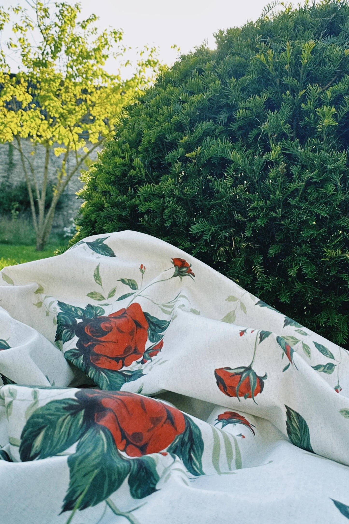 Rose Chintz - Red