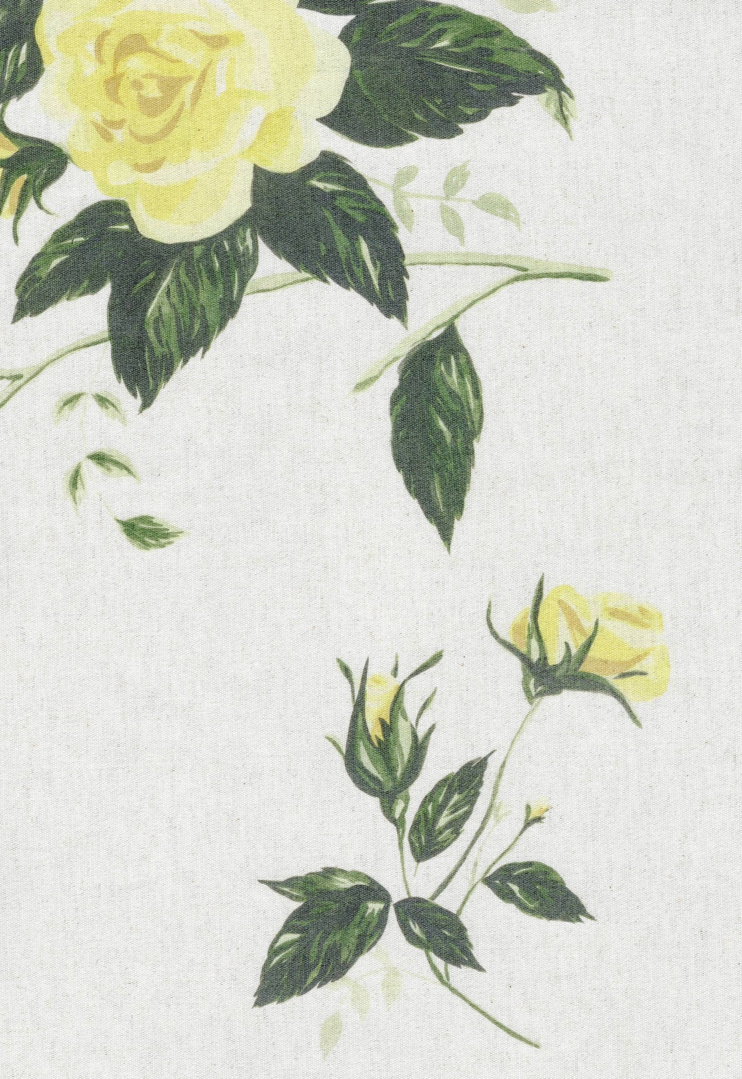 Rose Chintz - Yellow