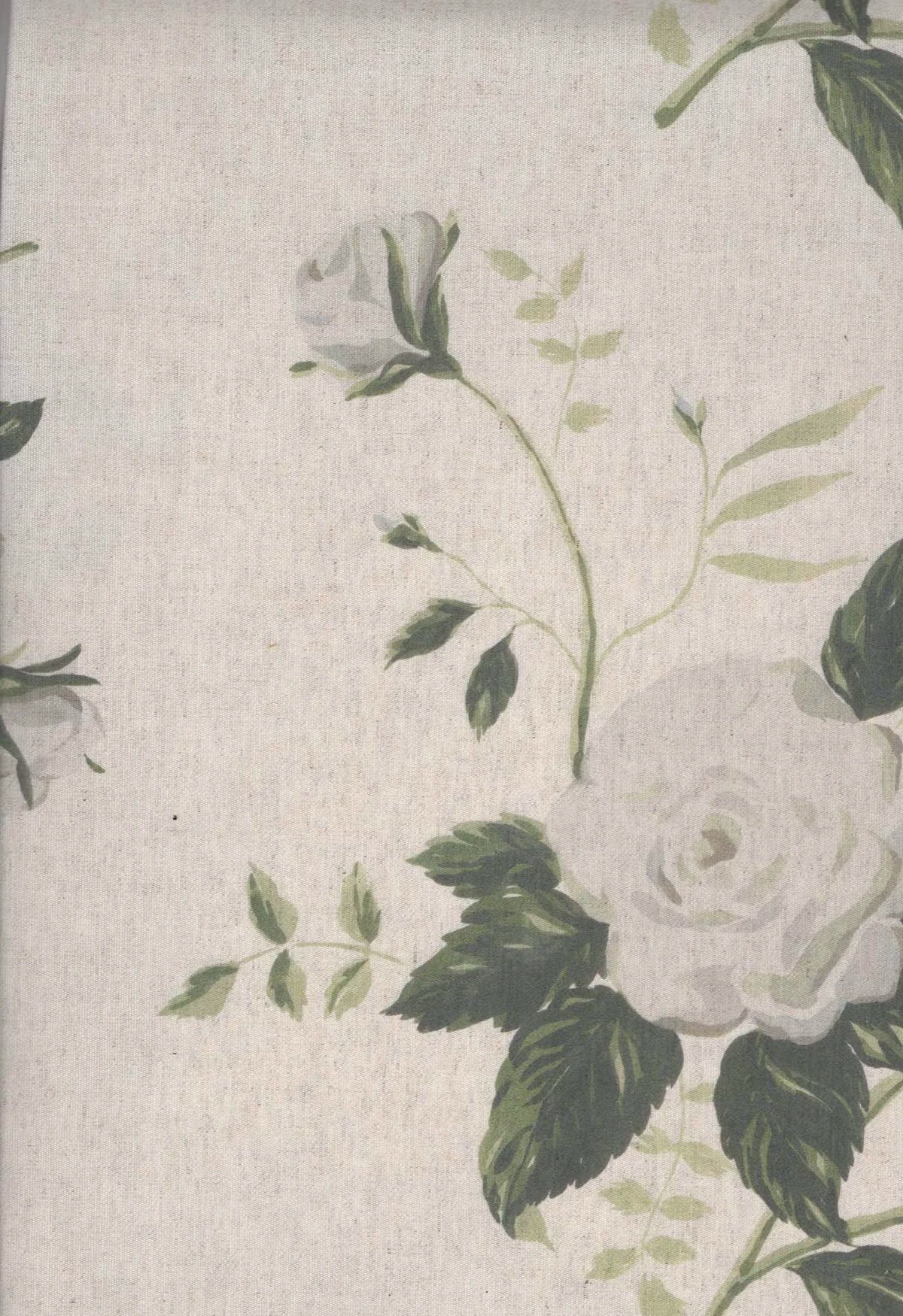 Rose Chintz - White