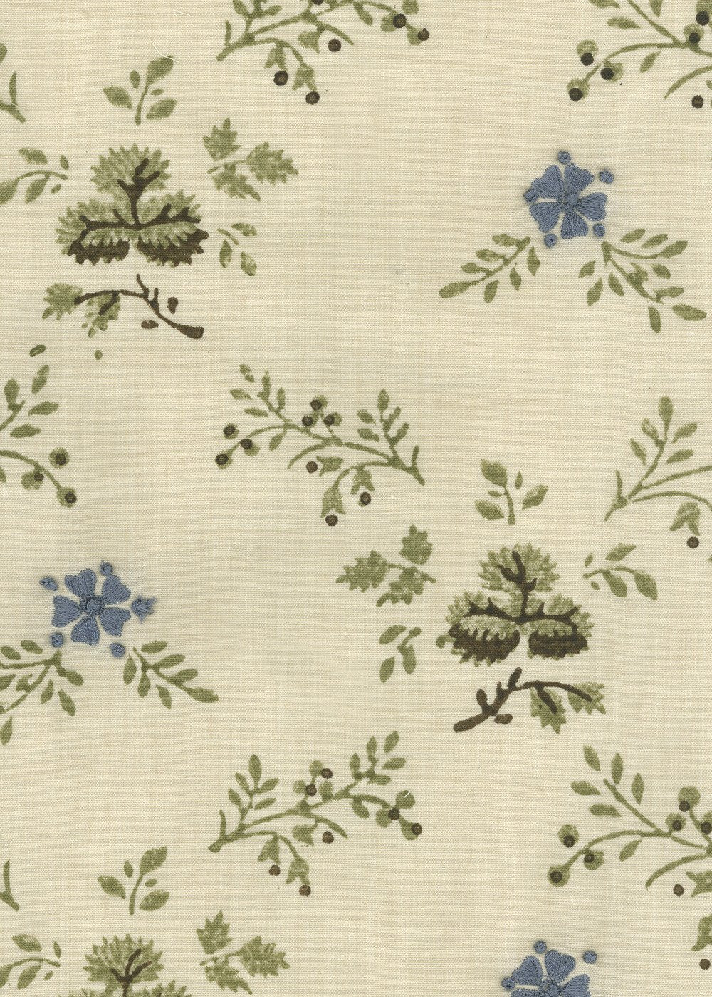 Lawrence - Forget-Me-Not