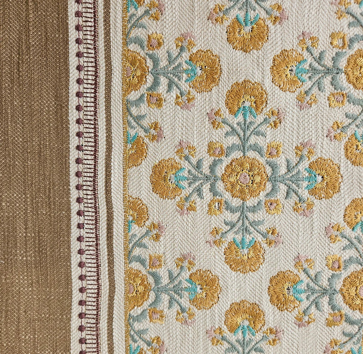 Dianthus - Ochre