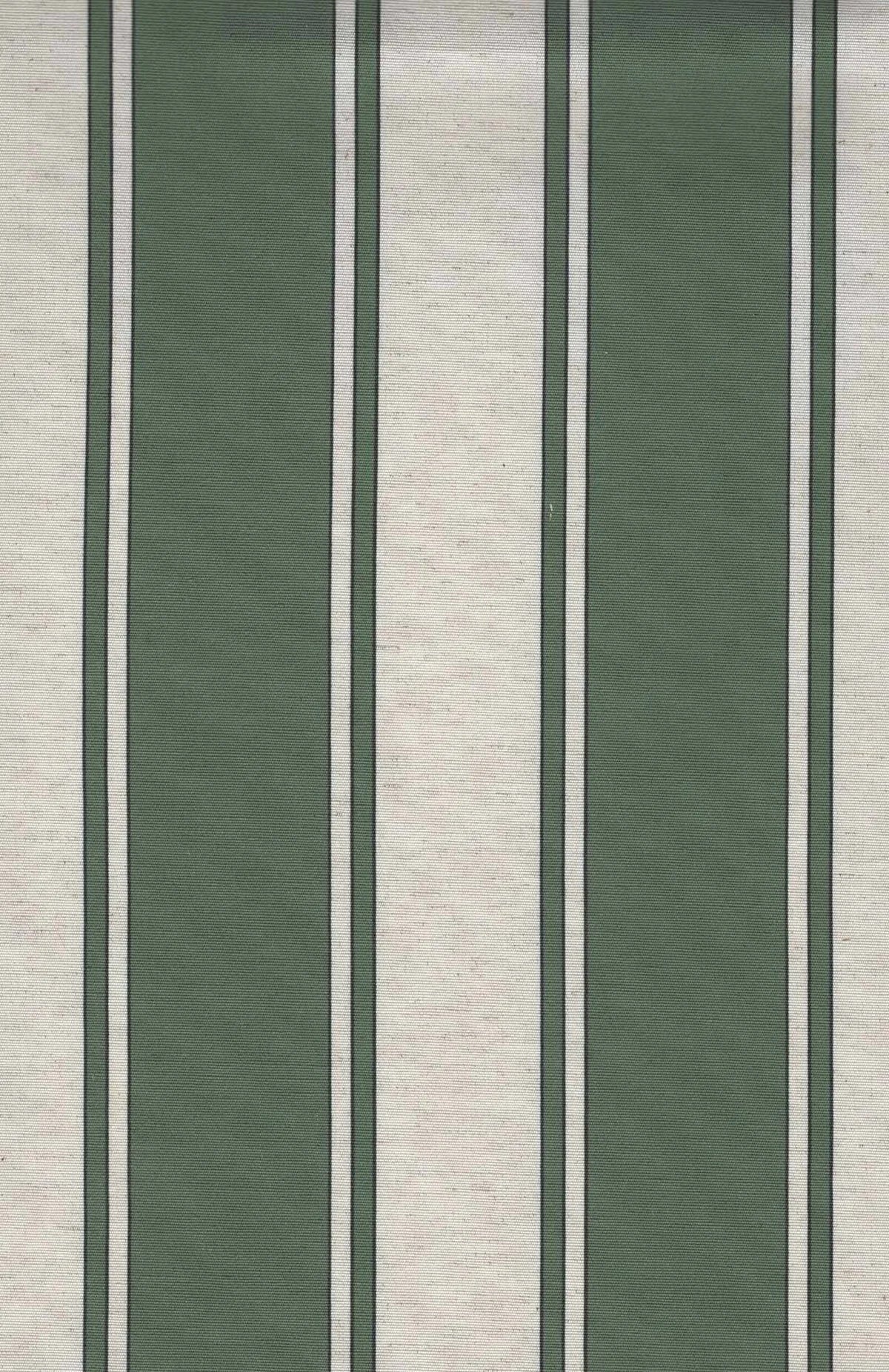 Fat Stripe - Green