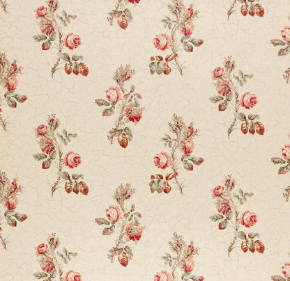 Eloise - Creme/Bronze