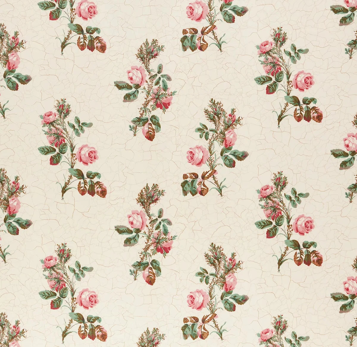 Eloise - Wild Rose
