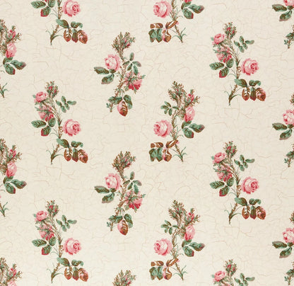 Eloise - Wild Rose