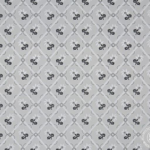 Dashwood Wallpaper - 1