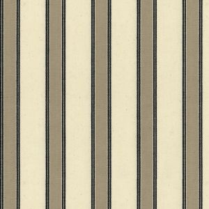 Blazer Stripe - Putty/Black