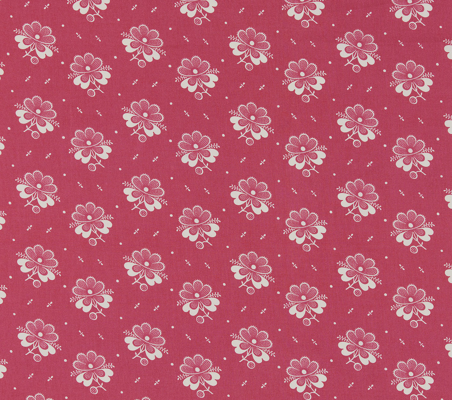 Fleur de Steppes - Pink