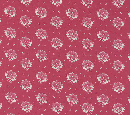 Fleur de Steppes - Pink
