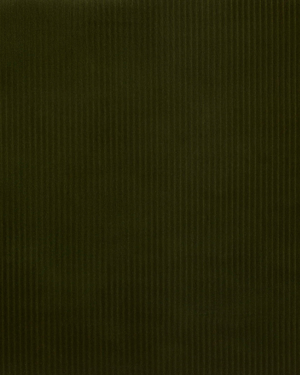 Helix - Angelica