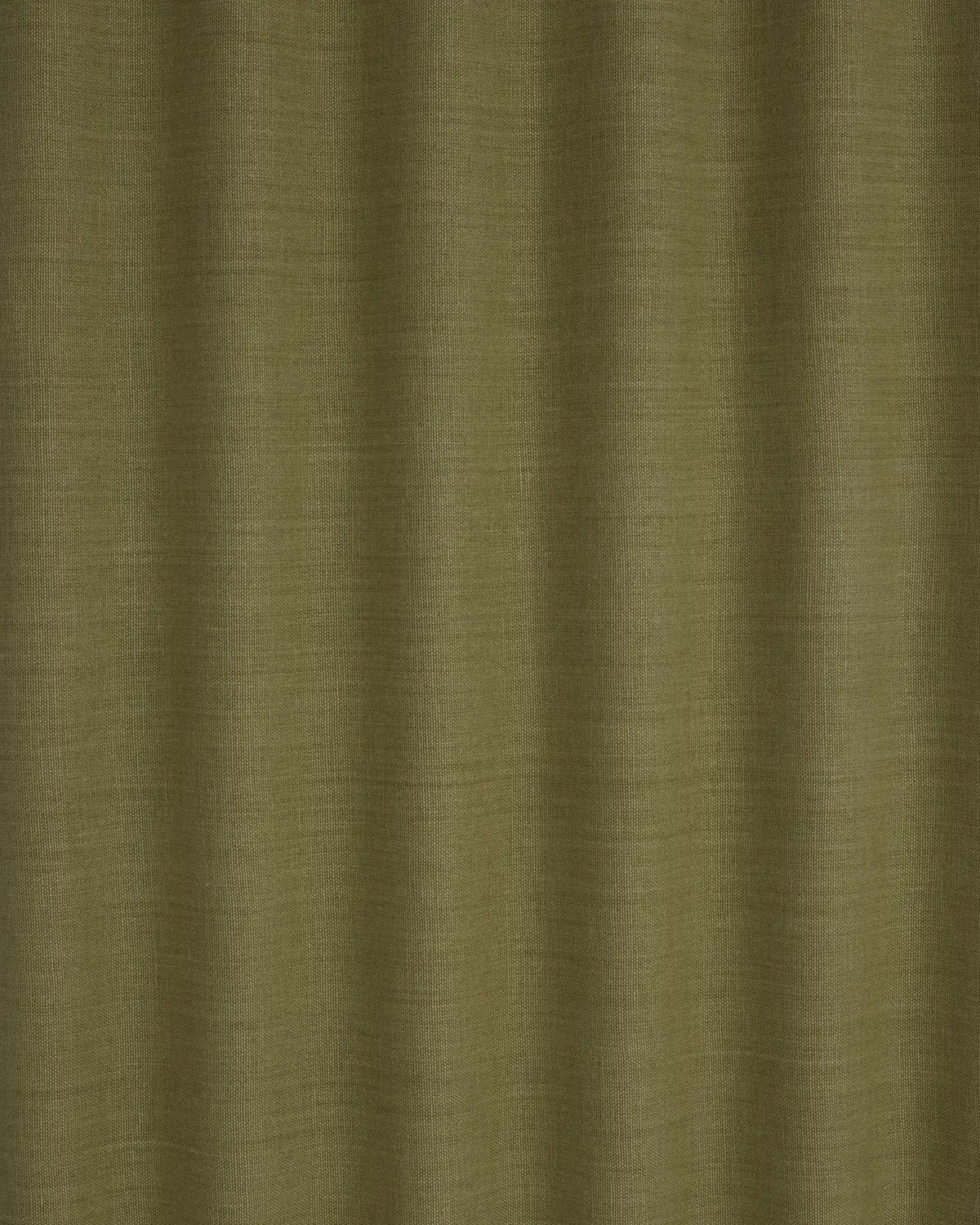 Papyrus - Dusty Olive