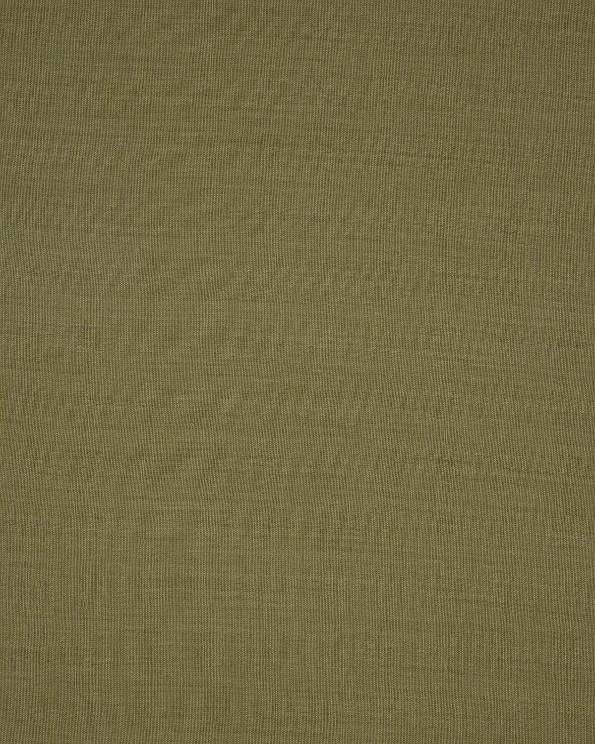 Papyrus - Dusty Olive