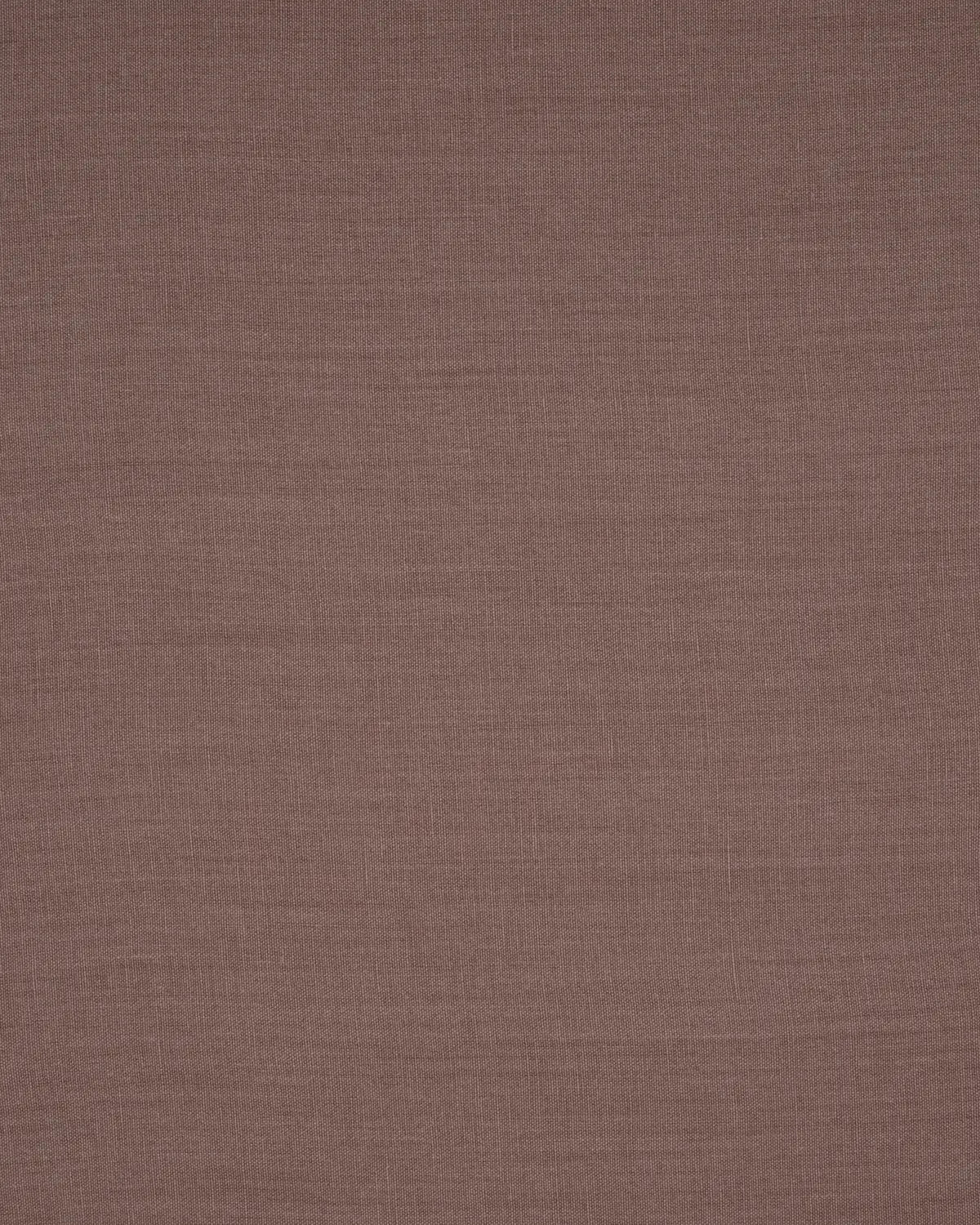 Papyrus - Frosted Violet
