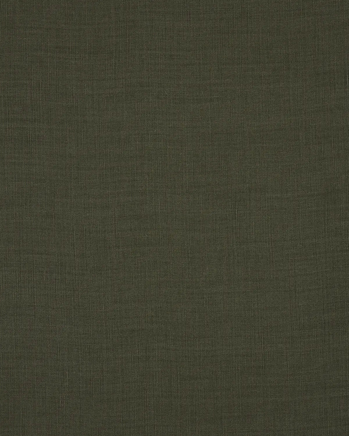 Papyrus - Palm Green
