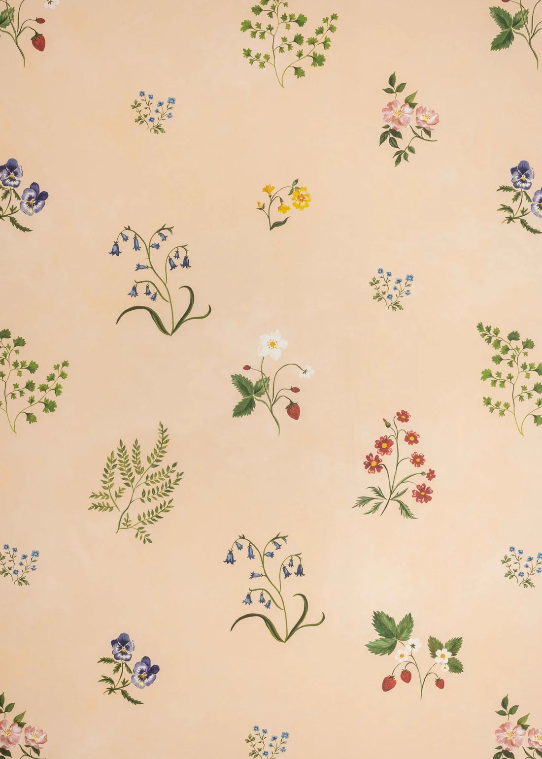Herbarium Wildflower Wallpaper - Blush