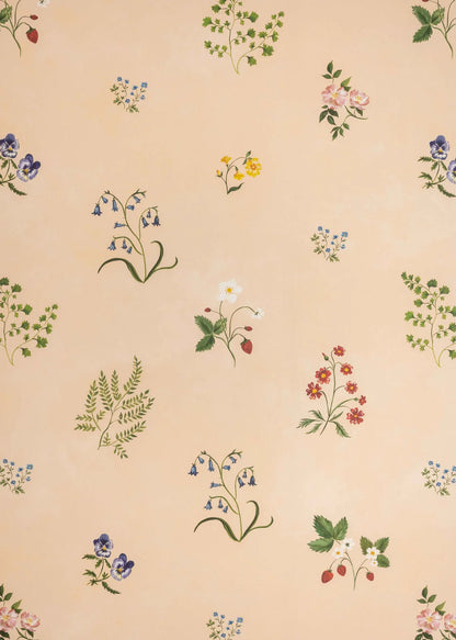 Herbarium Wildflower Wallpaper - Blush