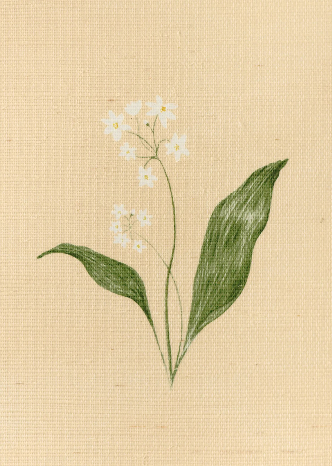 Herbarium Forest Grasscloth Wallpaper - Blush