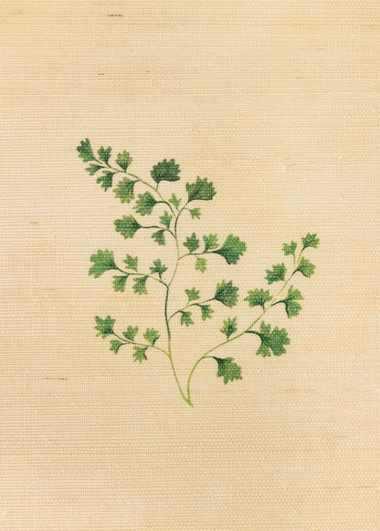 Herbarium Forest Grasscloth Wallpaper - Blush