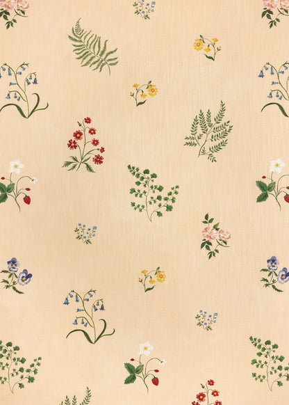 Herbarium Wildflower - Blush