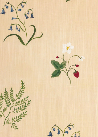 Herbarium Wildflower - Blush