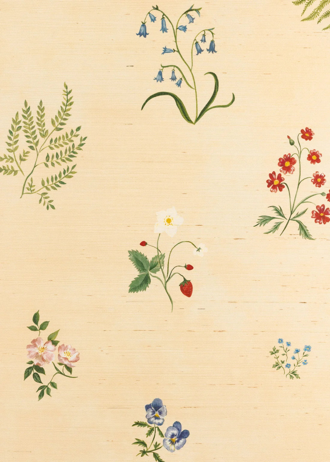 Herbarium Wildflower Grasscloth Wallpaper - Blush