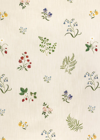 Herbarium Wildflower - Ivory