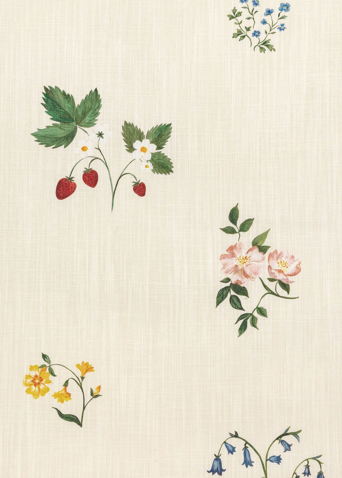 Herbarium Wildflower - Ivory