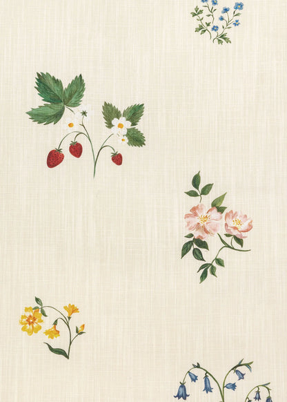 Herbarium Wildflower - Ivory