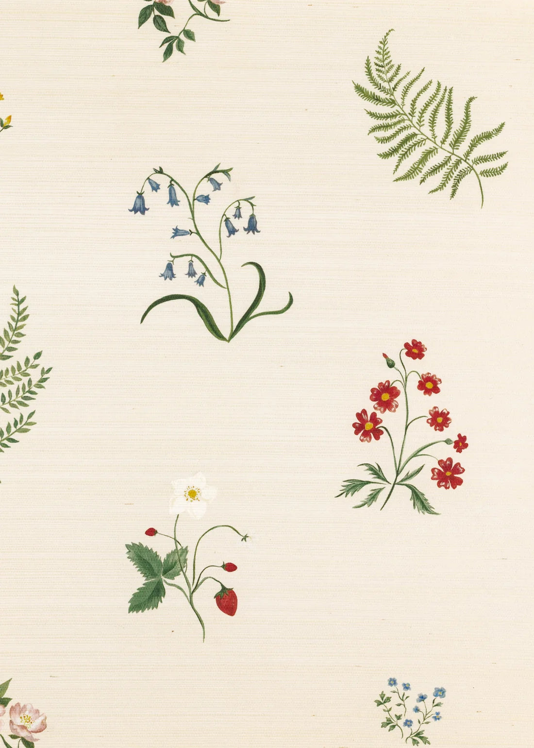 Herbarium Wildflower Grasscloth Wallpaper - Ivory