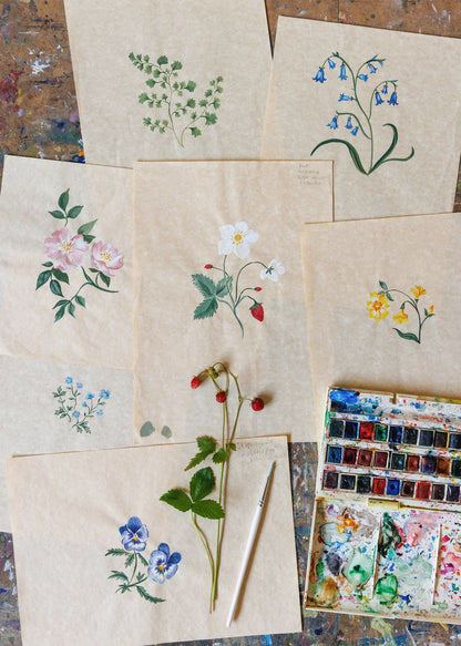 Herbarium Ditsy Wallpaper - Ivory