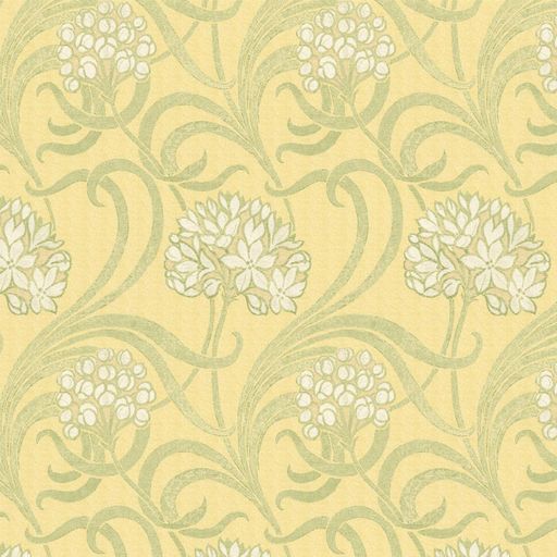 Agapanthus Wallpaper - 1