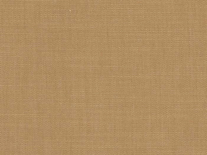 Baori - Camel