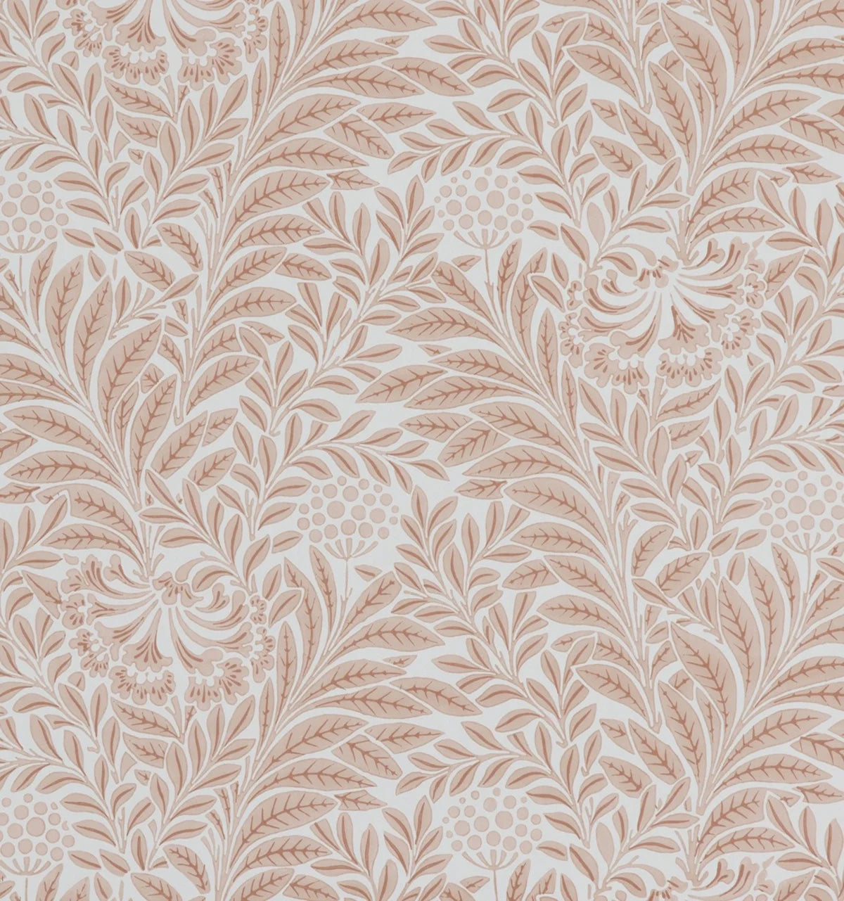 Imbali Wallpaper - Rose