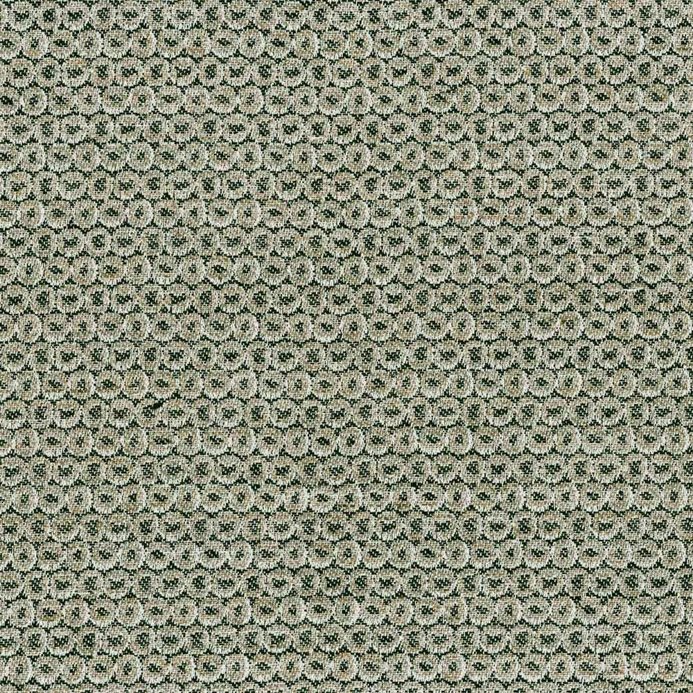 Terrain - Forest Floor