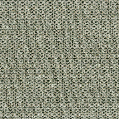 Terrain - Forest Floor