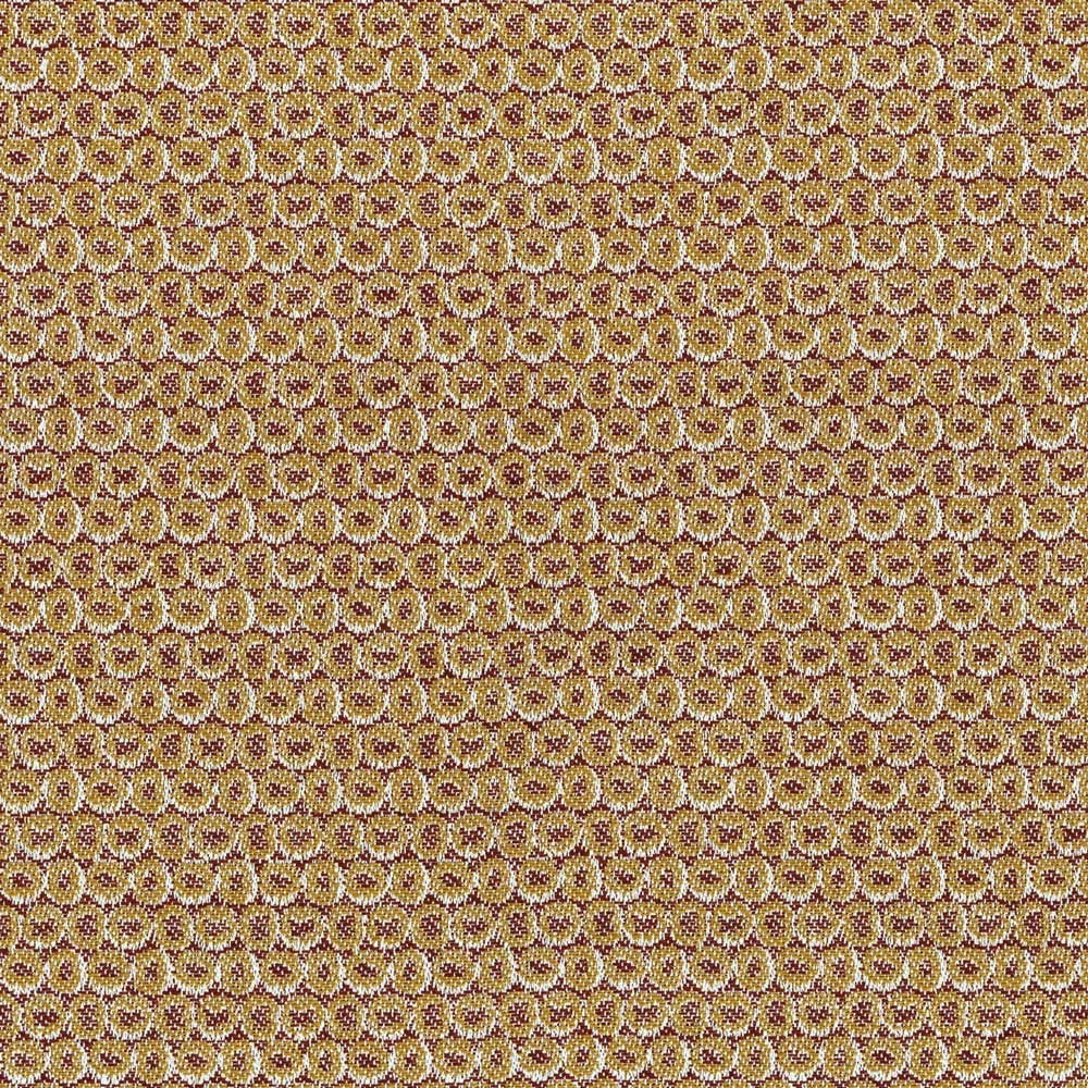 Terrain - Beech Nut