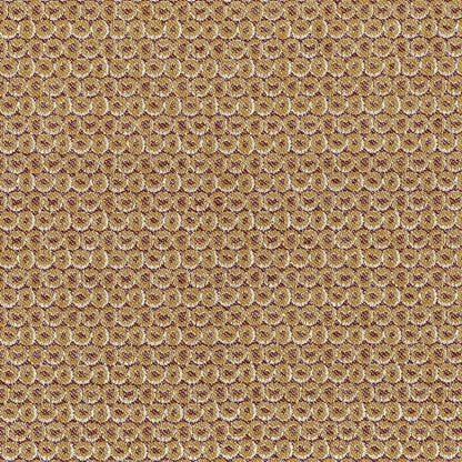 Terrain - Beech Nut