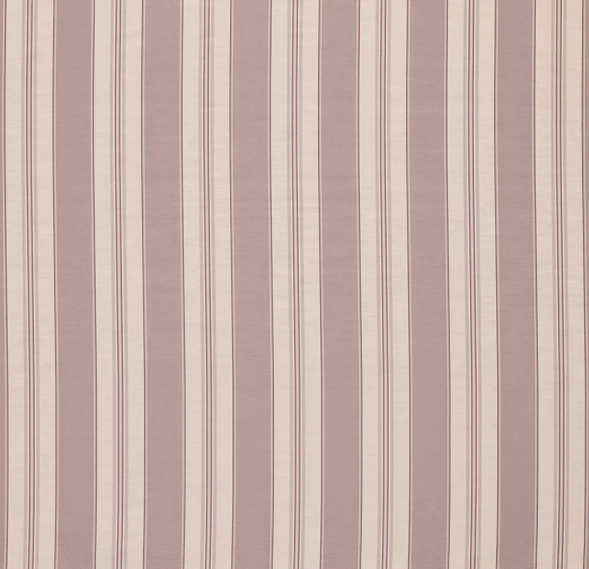 Spencer Stripe - Parma Natural