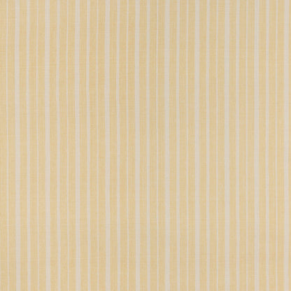 York Stripe - L-043