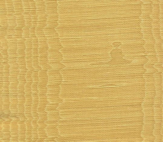 Misa Moire Plain - Daisy