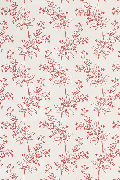 Colette Wallpaper - Mulberry
