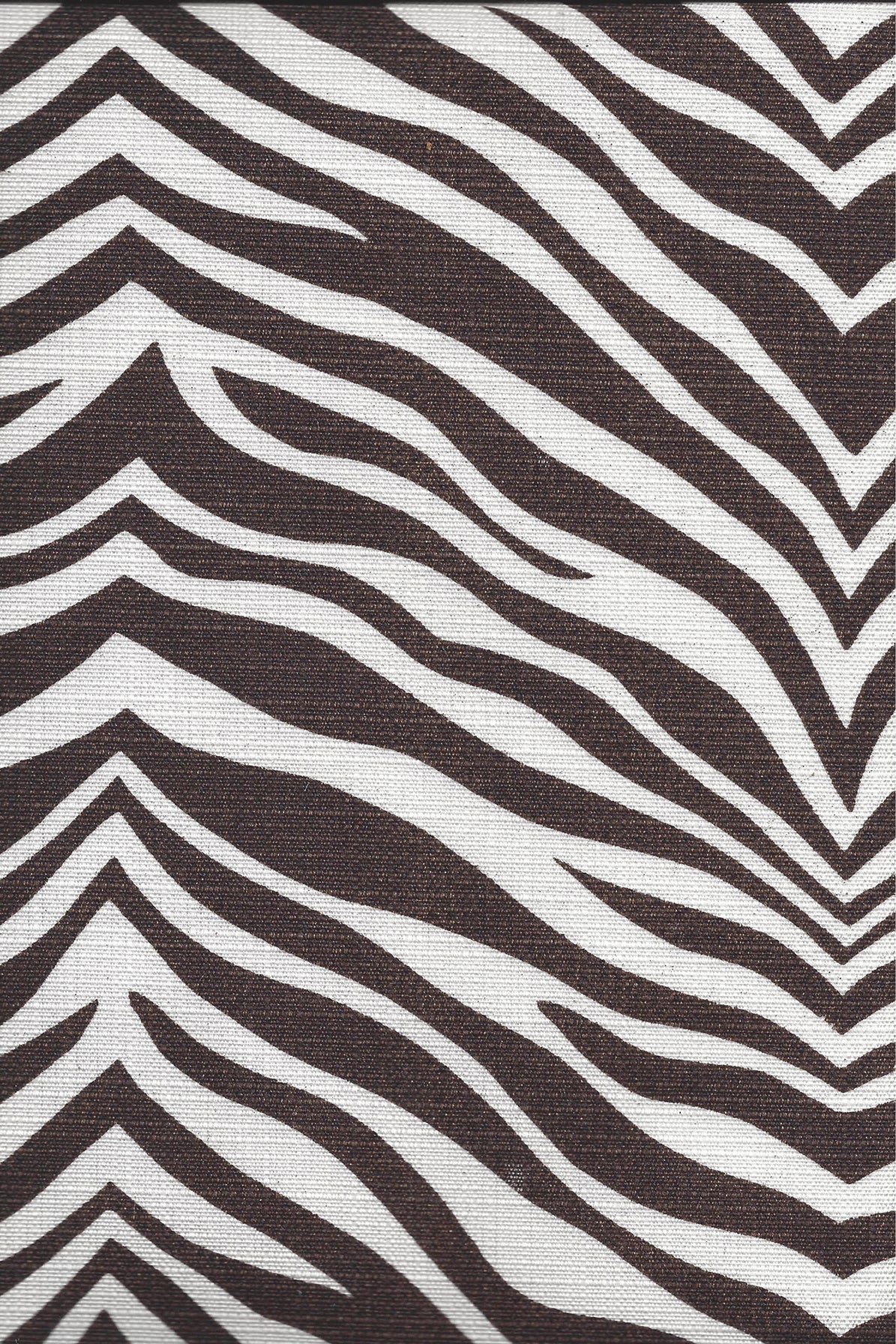 Nairobi - Sable on White Acrylic