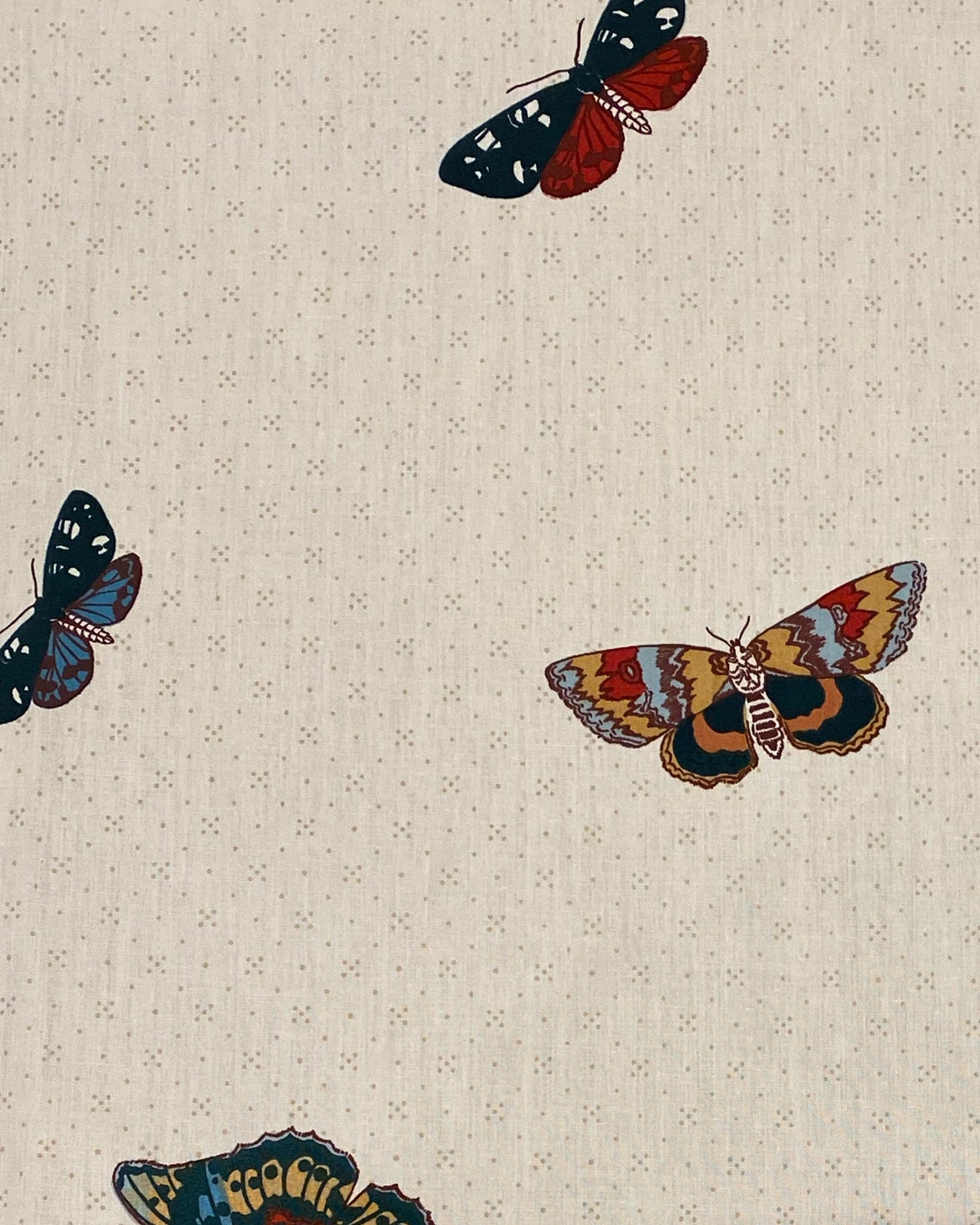 Papillons Tchekhonine - Original