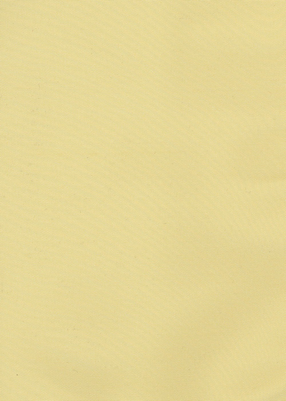 Silk Taffeta Plain - Yellow