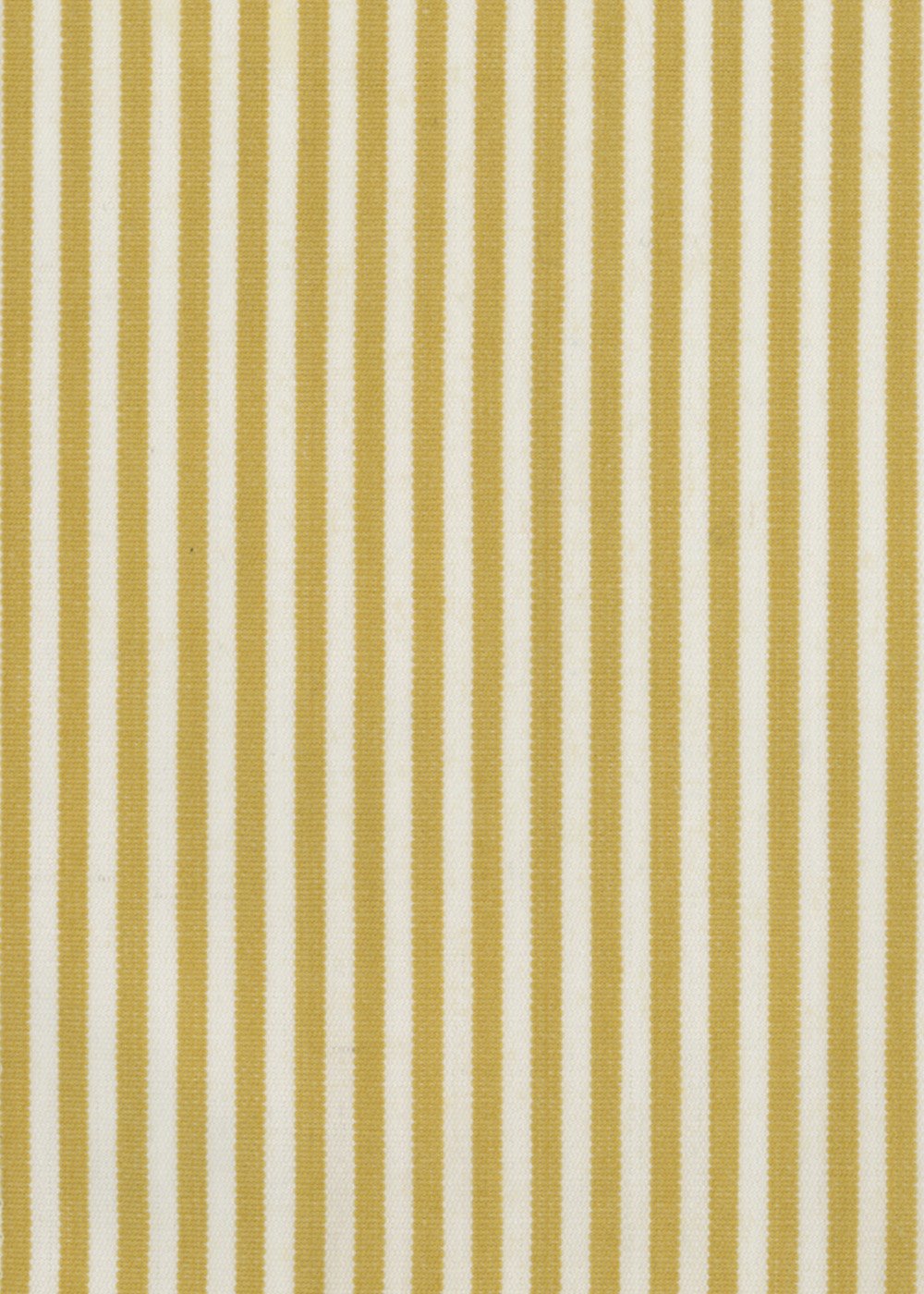 Swedish Stripe - Gold