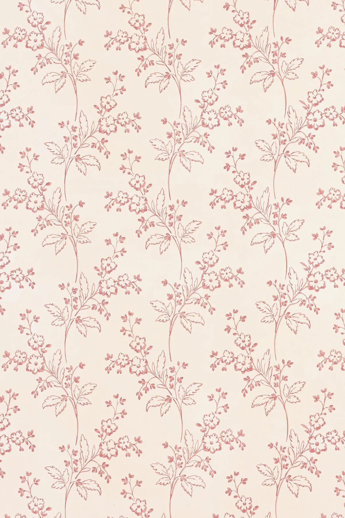 Colette Wallpaper - Rose