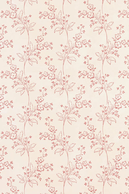 Colette Wallpaper - Rose