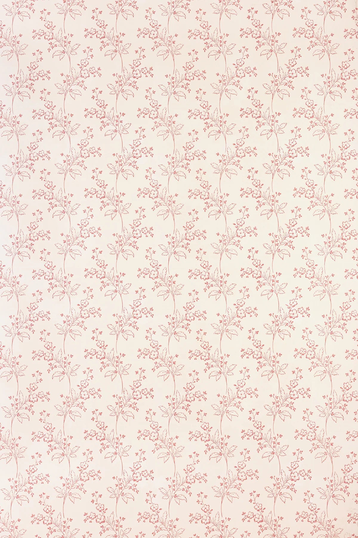 Colette Wallpaper - Rose