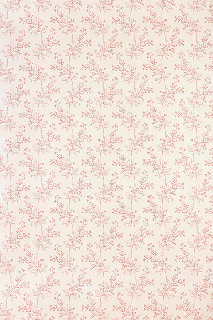 Colette Wallpaper - Rose