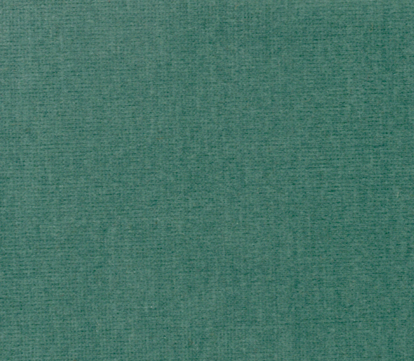Safari - Duck Egg